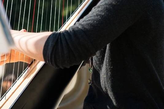 Harp for Ceremony