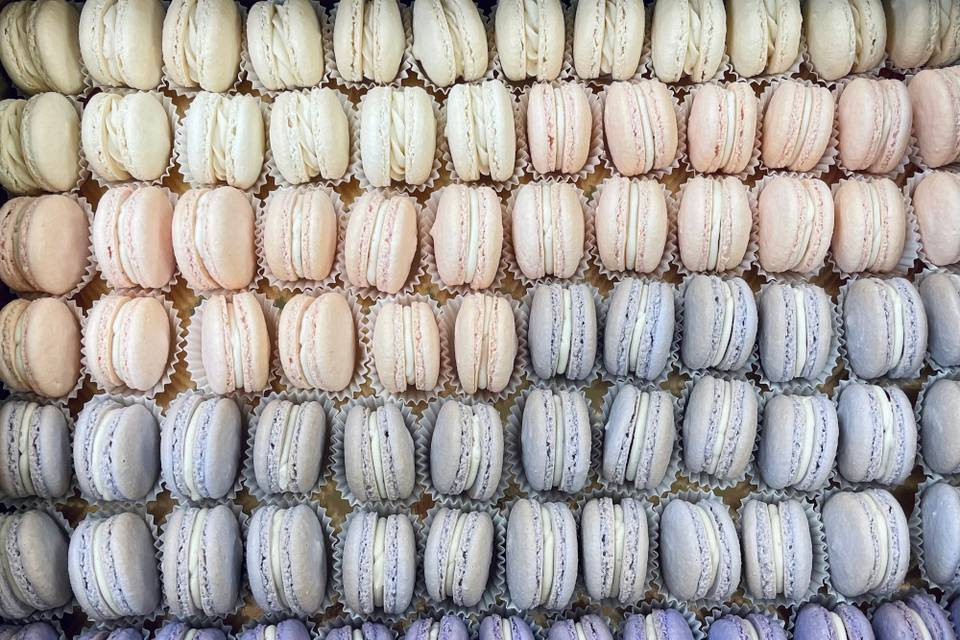 Macarons - 1