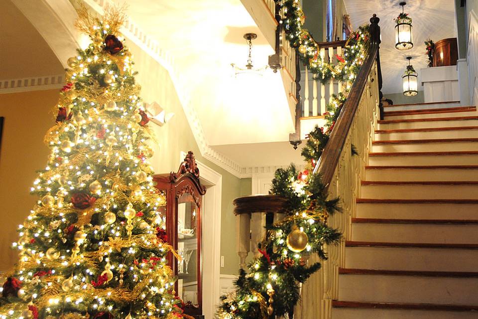 Christmas tree by the staircase