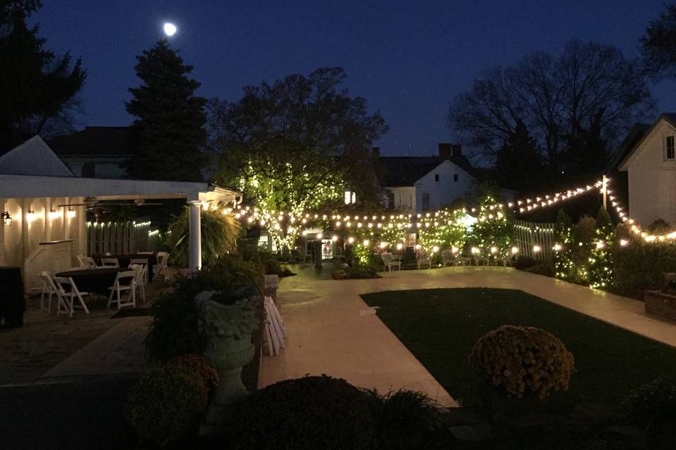 Our garden at night