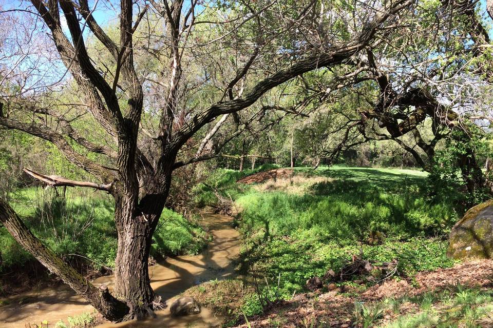 The Clubhouse at Paradise Valley