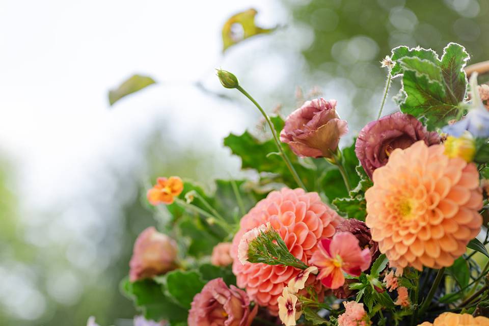 A Touch of Charm by Biatris