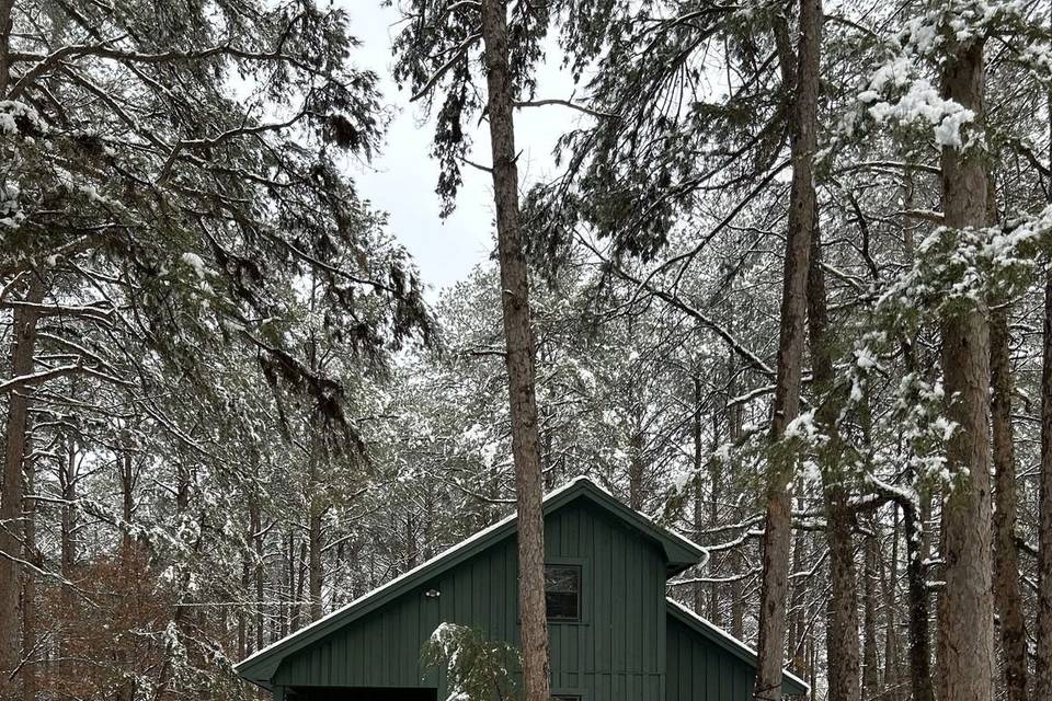 Blackberry Pines