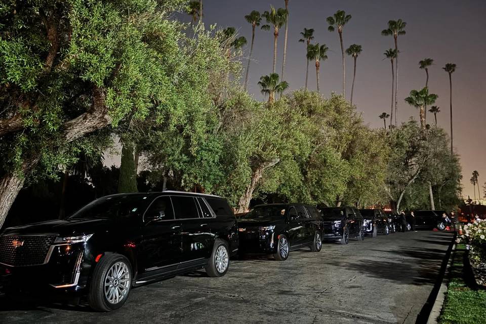 Lined up for our guests