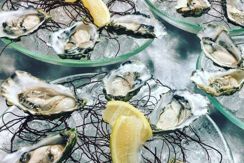 Oysters on the Half Shell