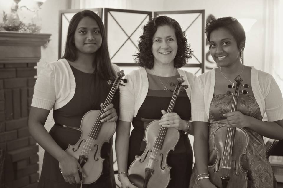 Tutti Dolce, The Violin Trio