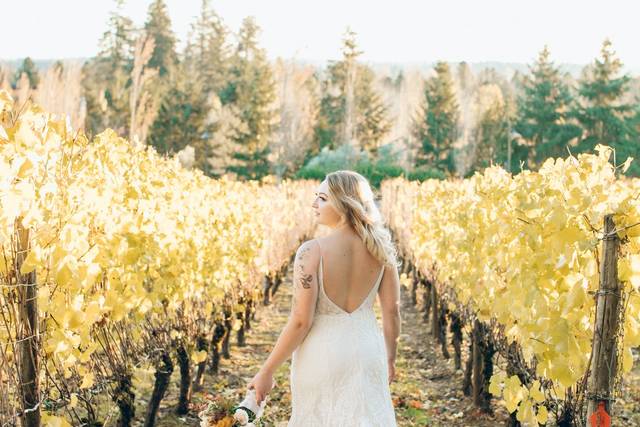 Fall Vineyard