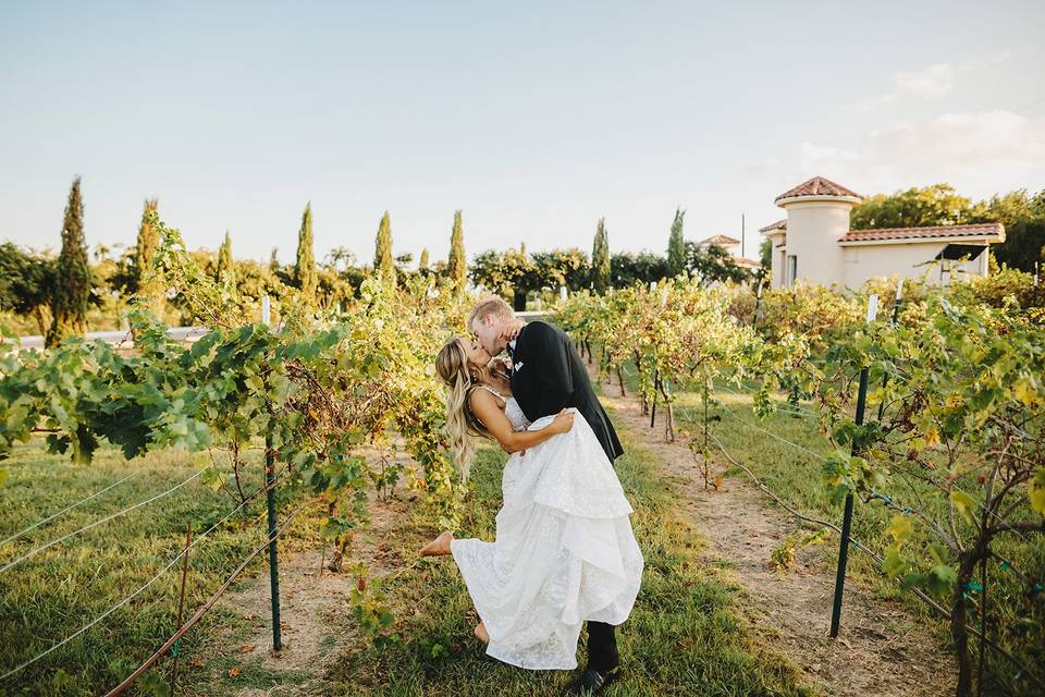 Vineyards