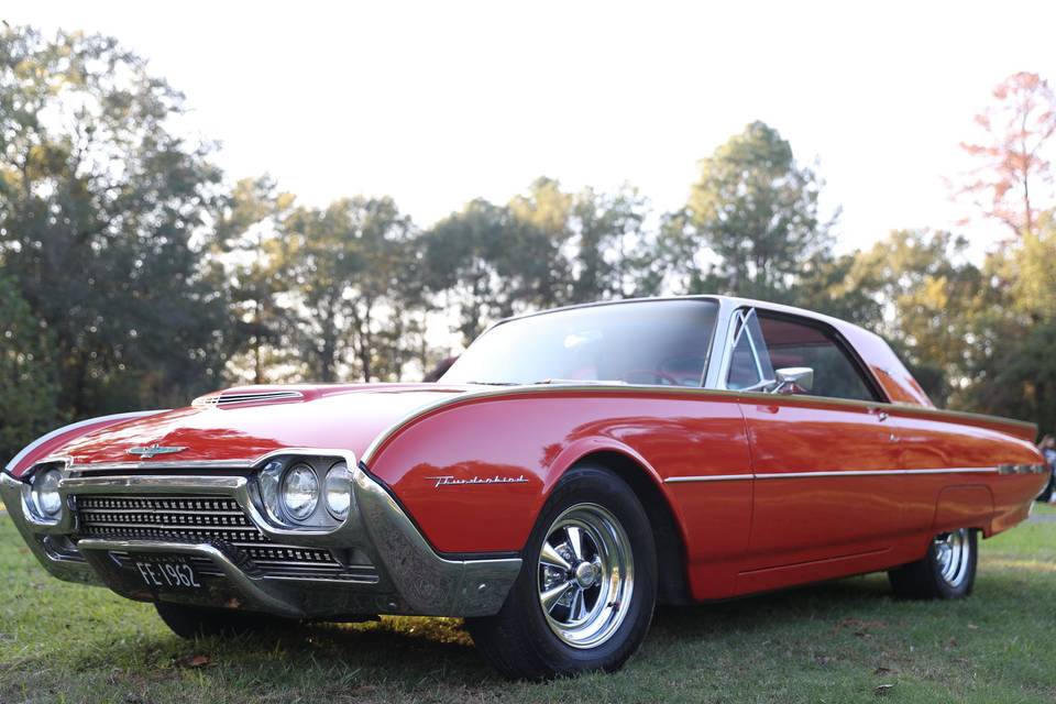 Thunderbird
