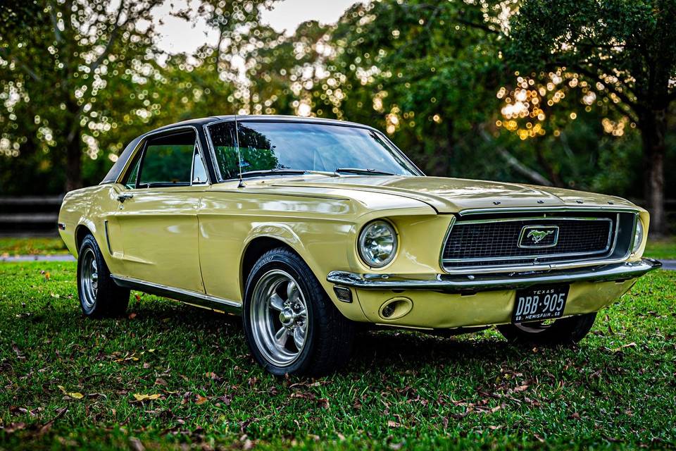 '68 Ford Mustang Side