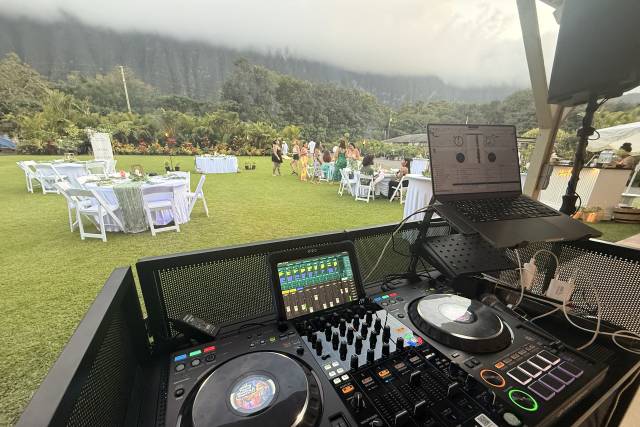 My Reception Setup/Plant Place