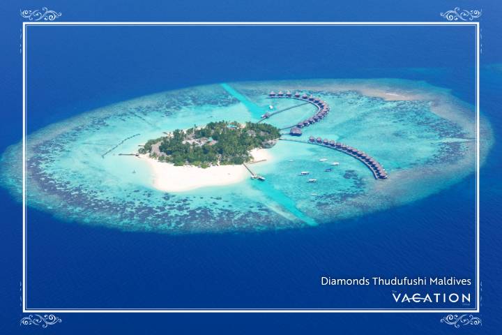 The Vacation Group