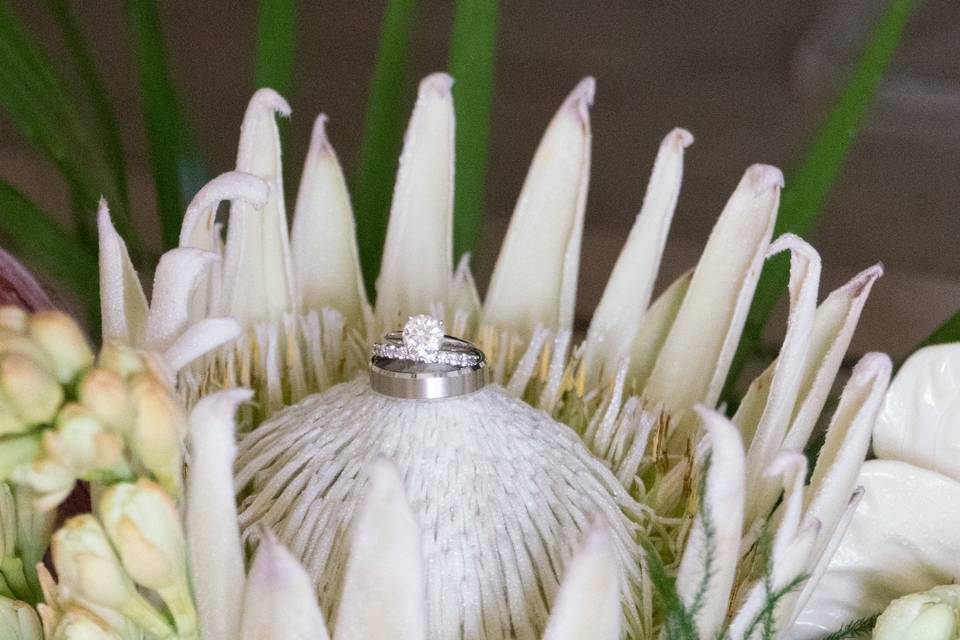 Hawaii Wedding rings