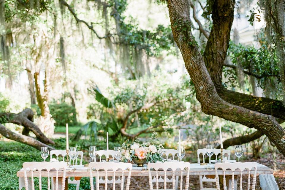 Table setting and centerpiece