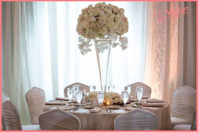 L'Nique Specialty Linen Rental