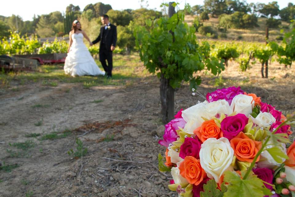 Wedding at Hecker Pass WineryMcCullough Photography