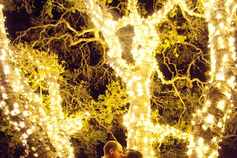 Nicklaus Club WeddingTree of Lights byMcCullough Photography