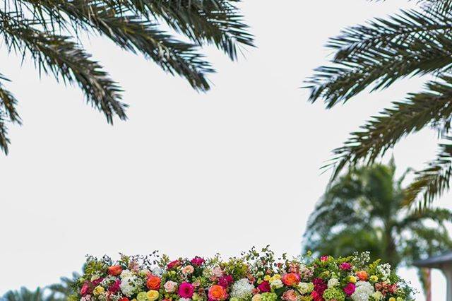 Harriet's Flowers