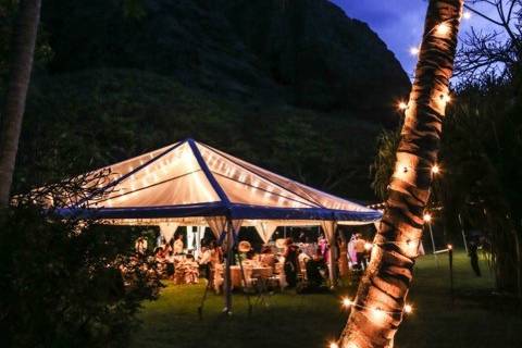 Bella Weddings & Events