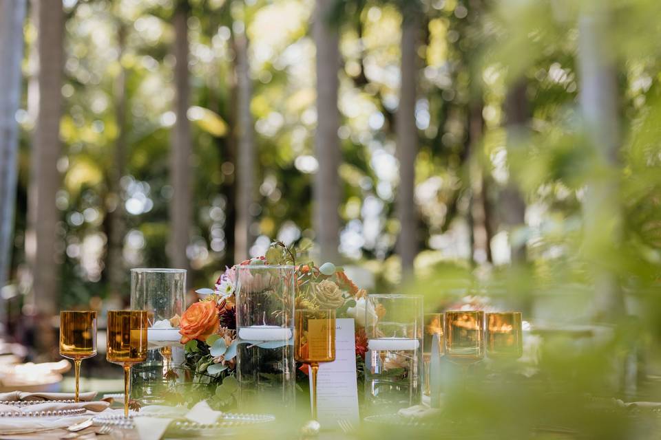 A & N Indian Wedding