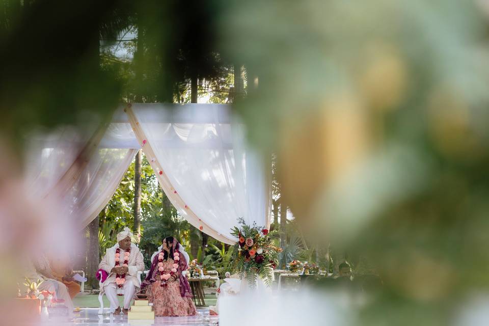A & N Indian Wedding