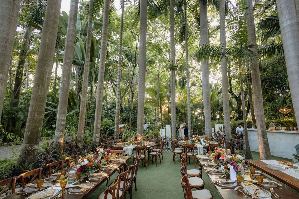 A & N Indian Wedding