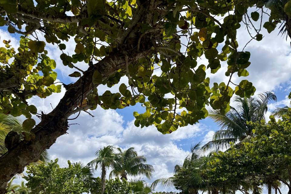 Tulum