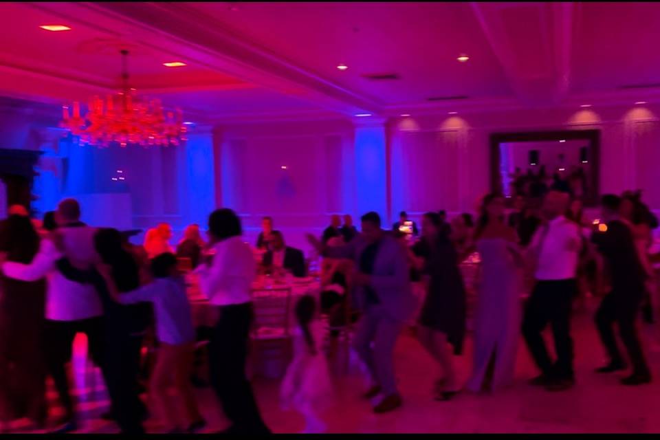Wedding Conga