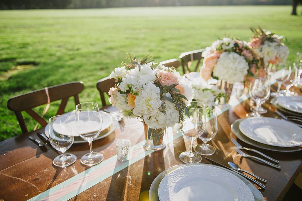 Gunston Hall - tent