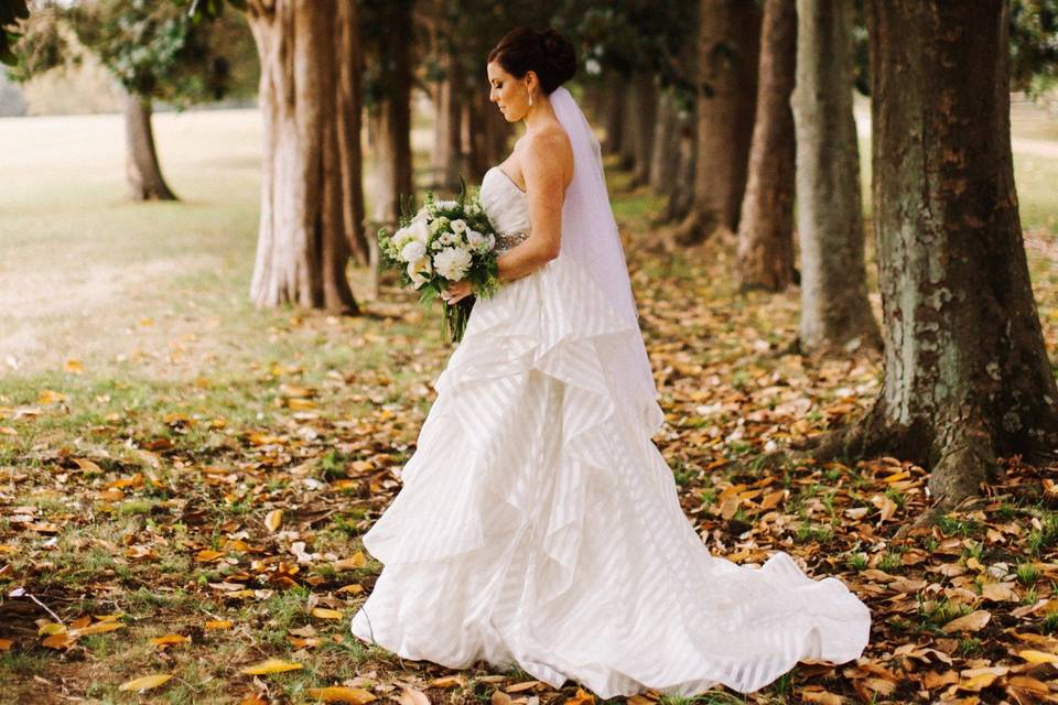 Bridal veil