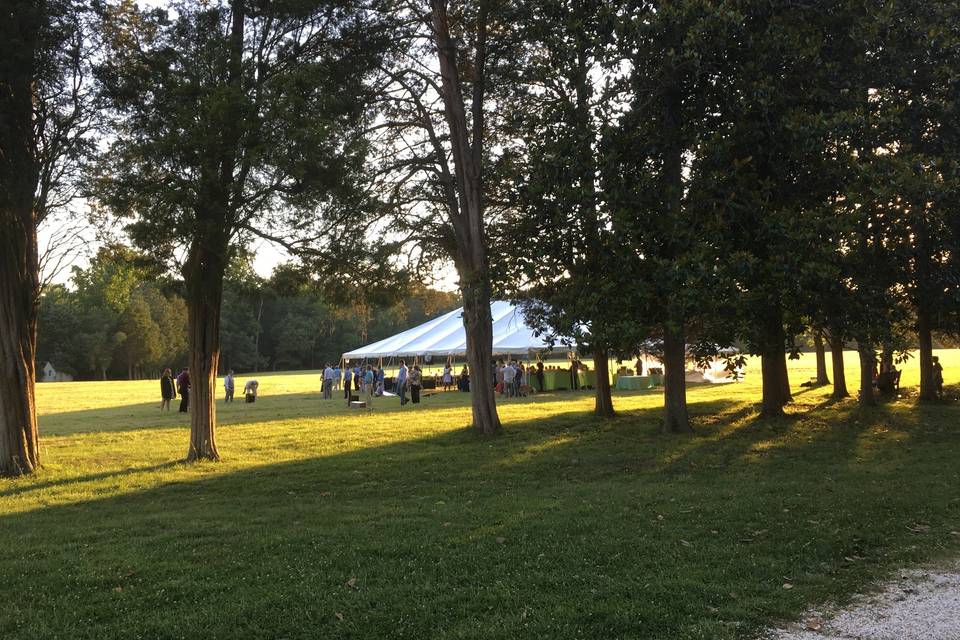 Gunston Hall - tent