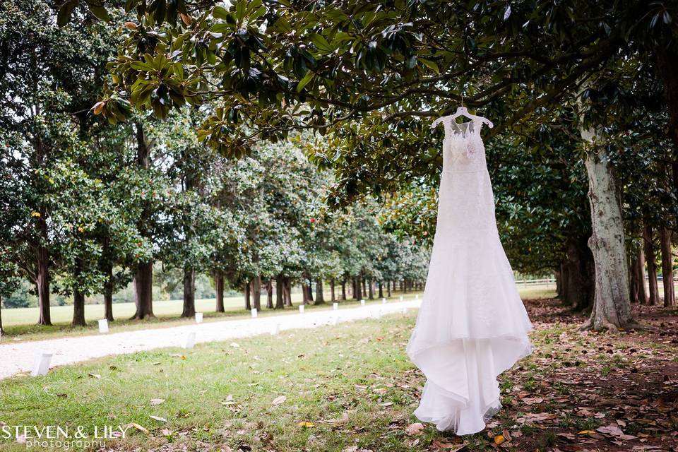 First kiss as Mr. & Mrs.