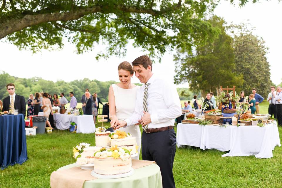 Cutting the cake