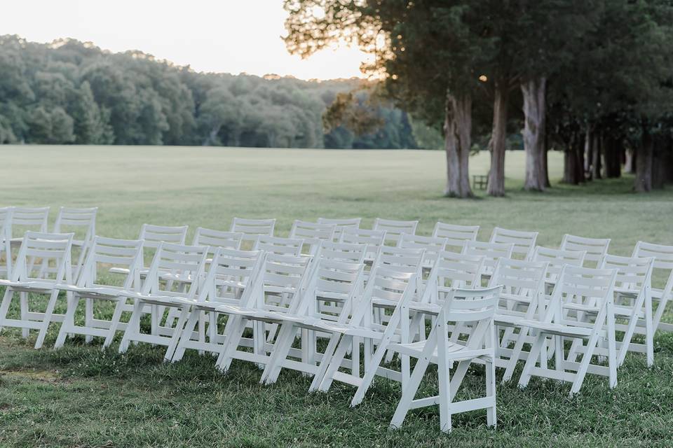 Ceremony among the trees