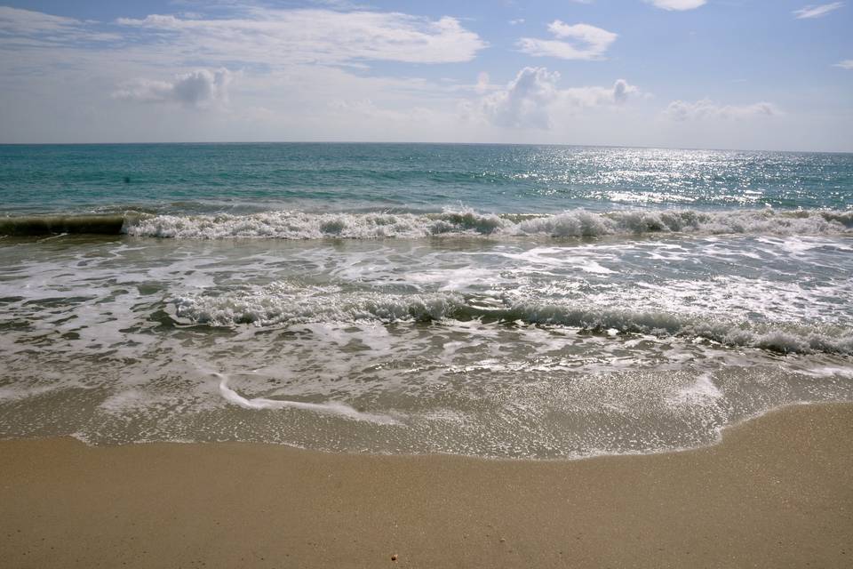 Simple Beach Wedding