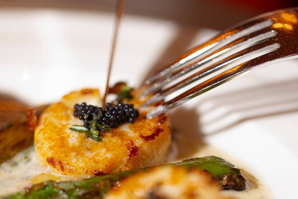 Scallops