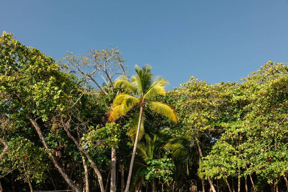 Mari + Gerald, Costa Rica