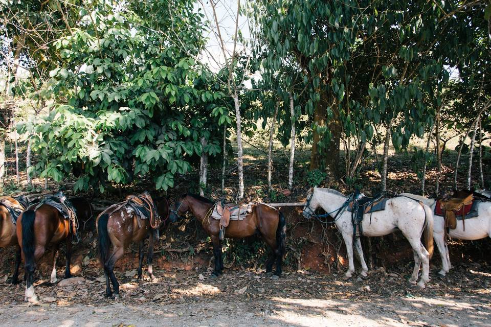 Mari + Gerald, Costa Rica