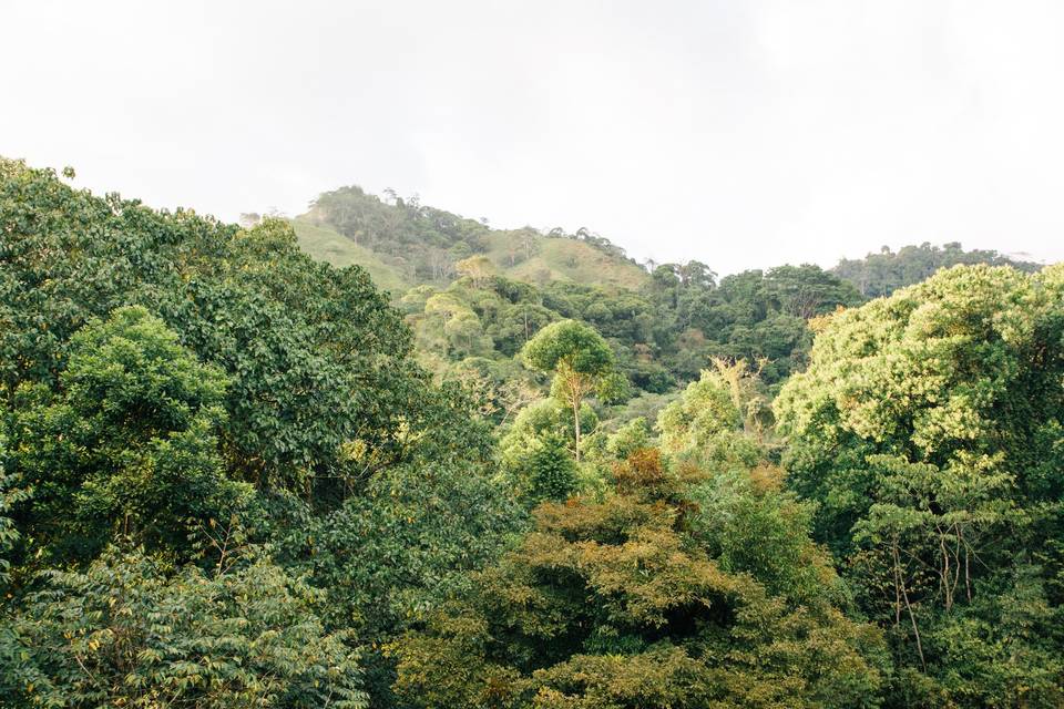Mari + Gerald, Costa Rica