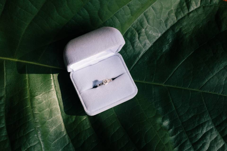 Mari + Gerald, Costa Rica
