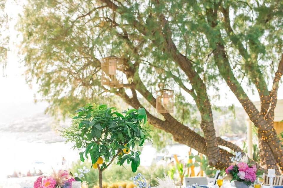 Outdoor Mediterranean Wedding