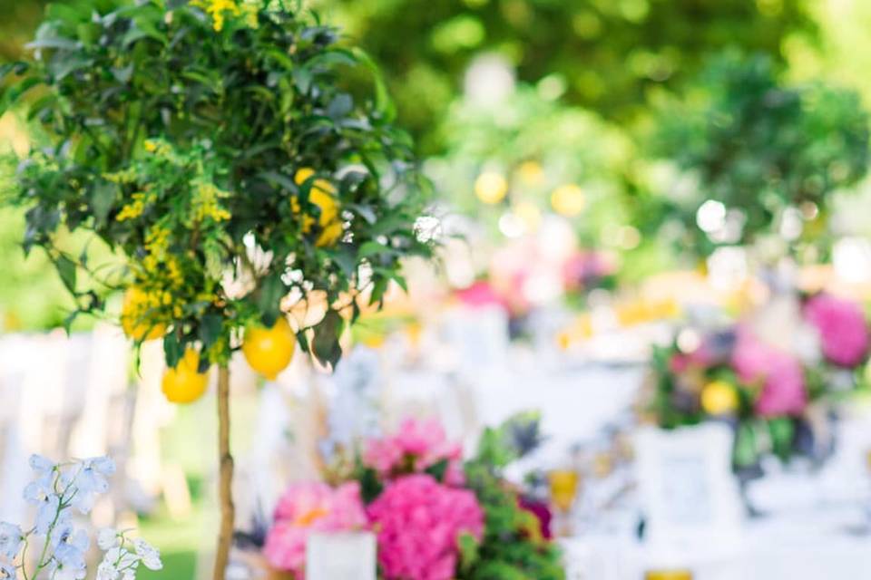 Mediterranean Beach Wedding