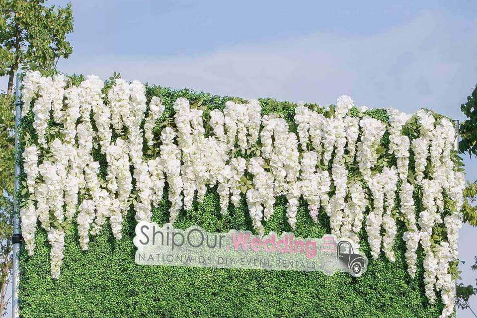 Boxwood wisteria flower wall