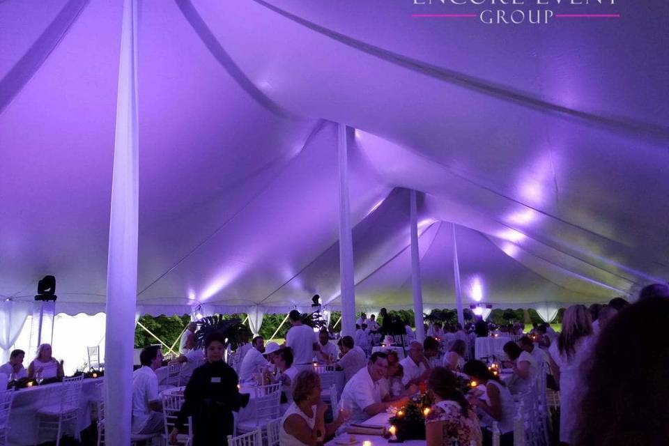 Lavender tent uplighting