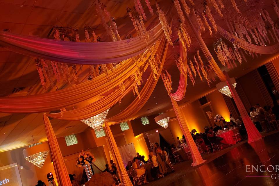 Ceiling drape hanging wisteria
