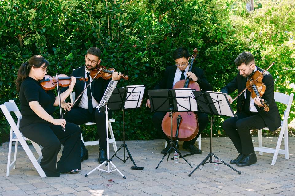Wedding in Orange County