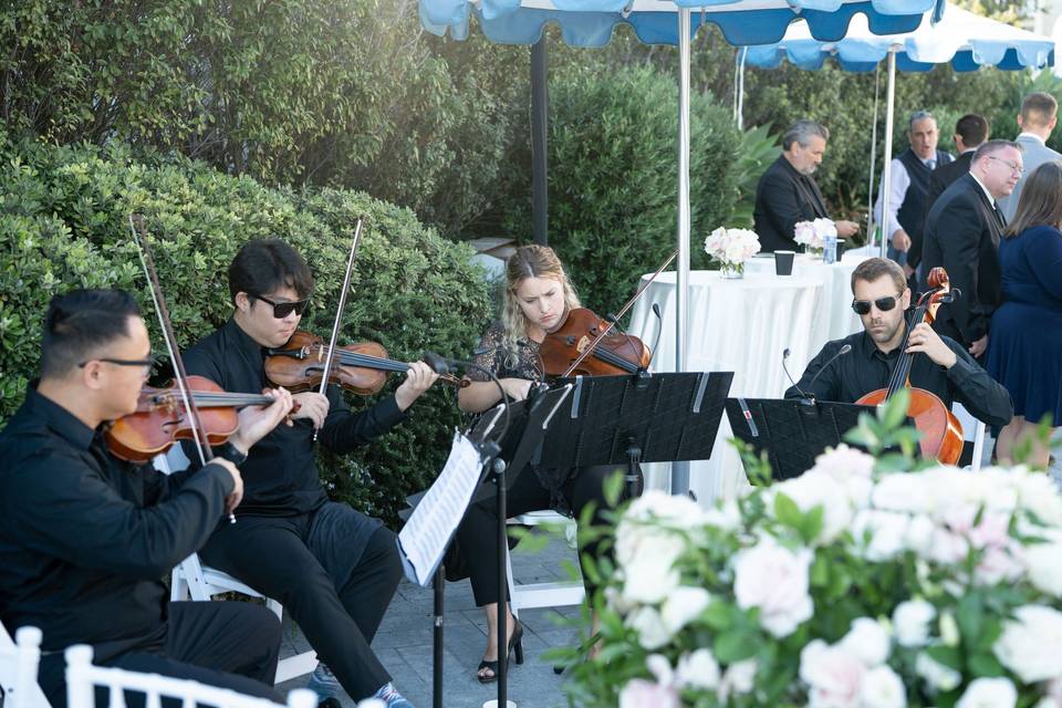 Wedding in Santa Monica, CA