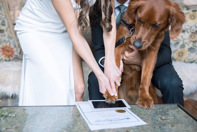 Wedding couple