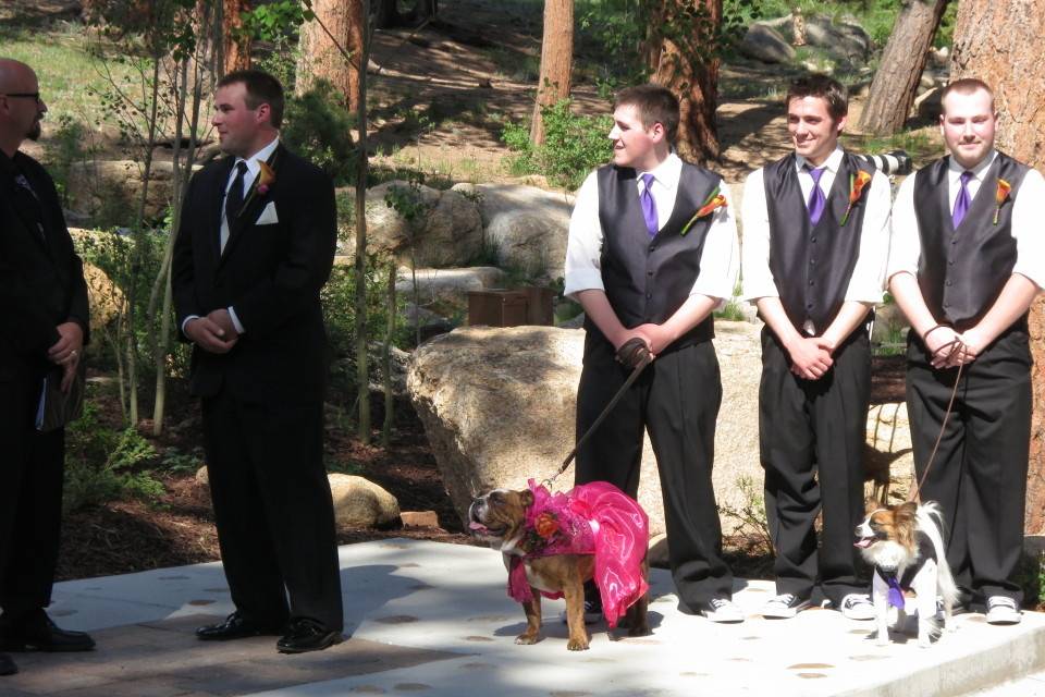 A Sharp Dj Service at the Della Terra with the family dogs involved in the ceremony!