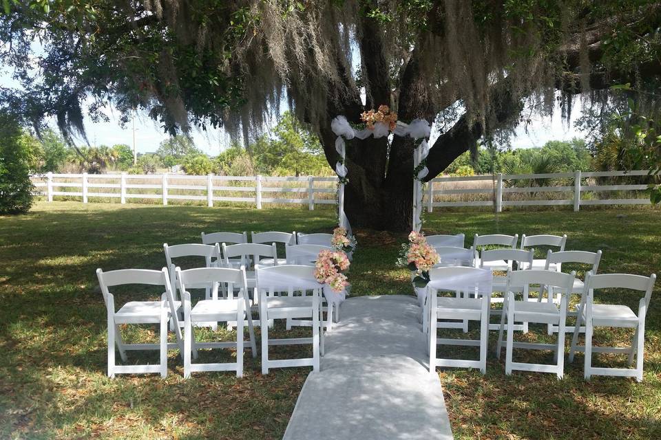 Ceremonies under the trees